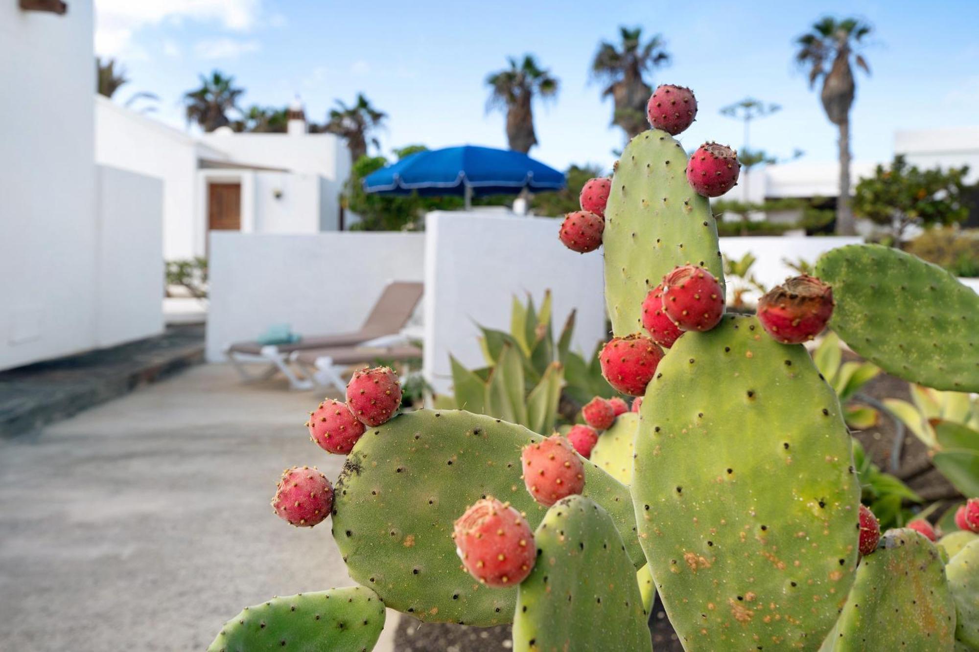 Casa Aloe Villa Haría Eksteriør billede